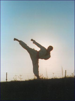 http://sunwayoflife.cowblog.fr/images/Monash/taekwondo92516.jpg
